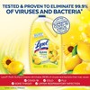 Lysol Multi-Surface Cleaner, Sanitizing and Disinfecting Pour, to Clean and