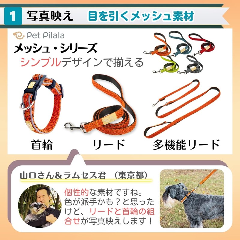 Pet Pilala Dog Leash, Photogenic, Simple, 3D Mesh Material, Lightweight,