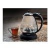 Capresso 259 Water Kettle, 10" x 8.25" x 6.25", Polished