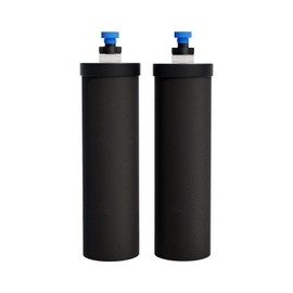 Joypur NSF/ANSI 42&372 Certified Replacement Filter Elements,Replacement for Berkey® BB9-2® Black Filters Elements ProOne® Big+ or Berkey® Big+ Gravity Water Filter System (2 Pack)