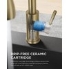 FORIOUS Gold Kitchen Faucet with Pull Down Sprayer, Bar High