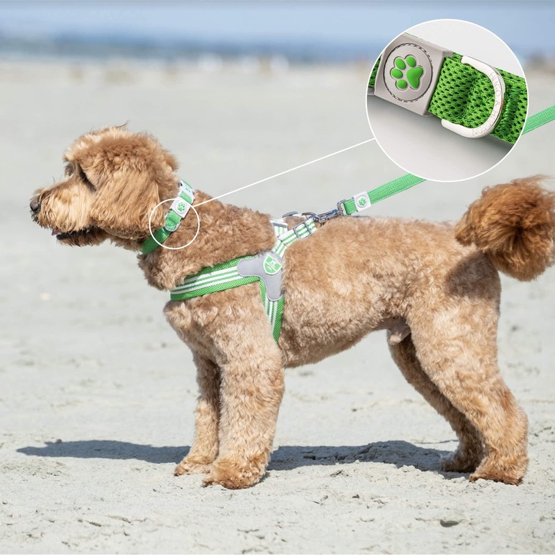 HUGO & HUDSON Dog Collar with Quick Release Safety Buckle