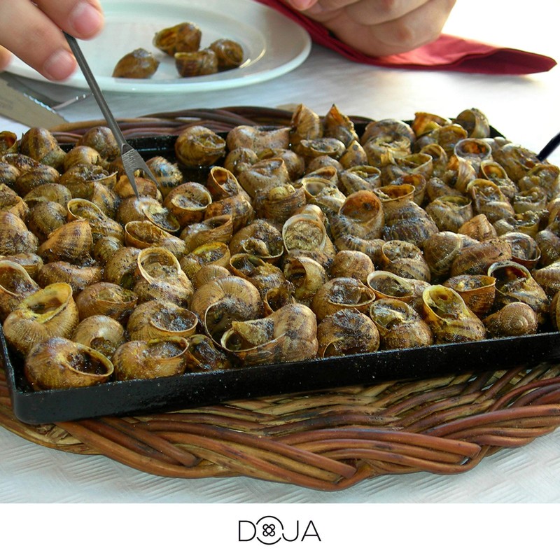 DOJA Barcelona | ENAMELED Iron Can for Snails or Square