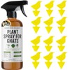 Kate's Home & Garden Plant Spray for Insects & Getting