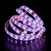 RGBW RGB+W 3000K LED Strip 4in1 Chip 500cm 5m ;
