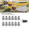 12Pcs Beehive Plastic Beetle Insect Trap Catch Box Tool Beekeeping