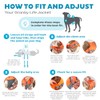 Chamarra salvavidas para perro, Outward Hound Granby Splash, Anaranjado, Pequeño