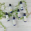 Hydrolat Lavender 100ml - Propos'Nature - Organic Certified