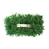 SodPods St Augustine ProVista Grass Plug Tray (16-Pack)