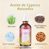 Cyperus Rotundus Oil, Aceite Natural de Cyperus Rotundus para Depilación