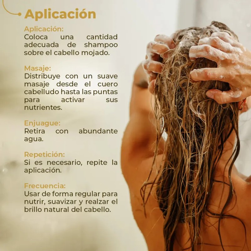 Shampoo Para Cabello Alfaparf Cioccolato Nutritivo 1 Lt