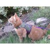 Mynwood Cat Jacket/Harness Green Combat Kitten up to 8month