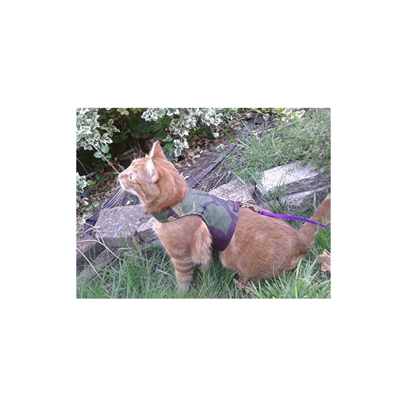 Mynwood Cat Jacket/Harness Green Combat Kitten up to 8month
