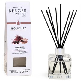 Reed Diffuser - Cube - Clear - Scented Bouquet with Reed Sticks - Prefilled with Lampe Berger Fragrance - 125 Milliliters - 4.2 Fluid Ounces (Land of Spices)