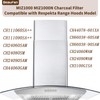 Beaufan 4 Pack MIZ1000 Activated Carbon Filter Compatible with Respekta