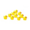 SELECOCO Miniature Ducks Set of 10 Terranium Gardening Dollhouse Garden
