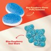 Blue Gummy Candy Mix | 2 Pound Bag | Blue