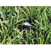 MOWHOUSE 100 x Robotic Lawnmower Hooks Nails Set - 8.5