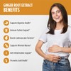 StayAlive Pure Ginger Root Extract Capsules - 10:1 Super Extract,