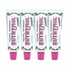 EUTHYMOL Whitening Toothpaste Large Size 120g (4 Packs) / EUTHYMOL