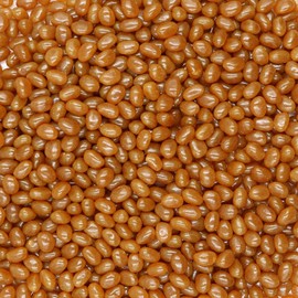 Smarty Stop Jelly Beans Every Flavor Candy (2 Pound (Pack of 1), Cola)