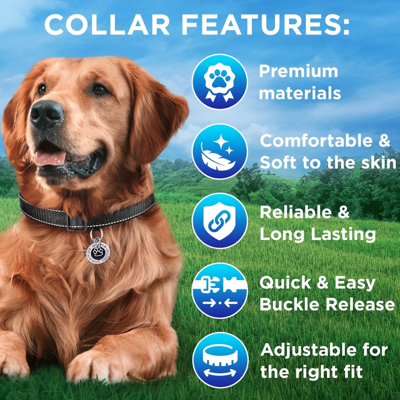 TECEUM Reflective Pet Collar – Black – S – Basic