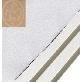 Hahnemuhle Copperplate Paper White 22x30 10 Pack