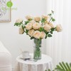 Alecono 𝟮𝟬𝙋𝙘𝙨 Fake Roses, 4in 𝘽𝙞𝙜 𝗩𝗲𝗹𝘃𝗲𝘁 Flower Head Champagne