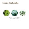 Young Living Aceite esencial R C de Essential Oils de