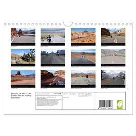 Born to be wild - Les États-Unis en Harley-Davidson (Calendrier mural 2023 DIN A4 horizontal): Les magnifiques paysages du Sud-Ouest américain vus de ... d'une Harley (Calendrier mensuel, 14 Pages )