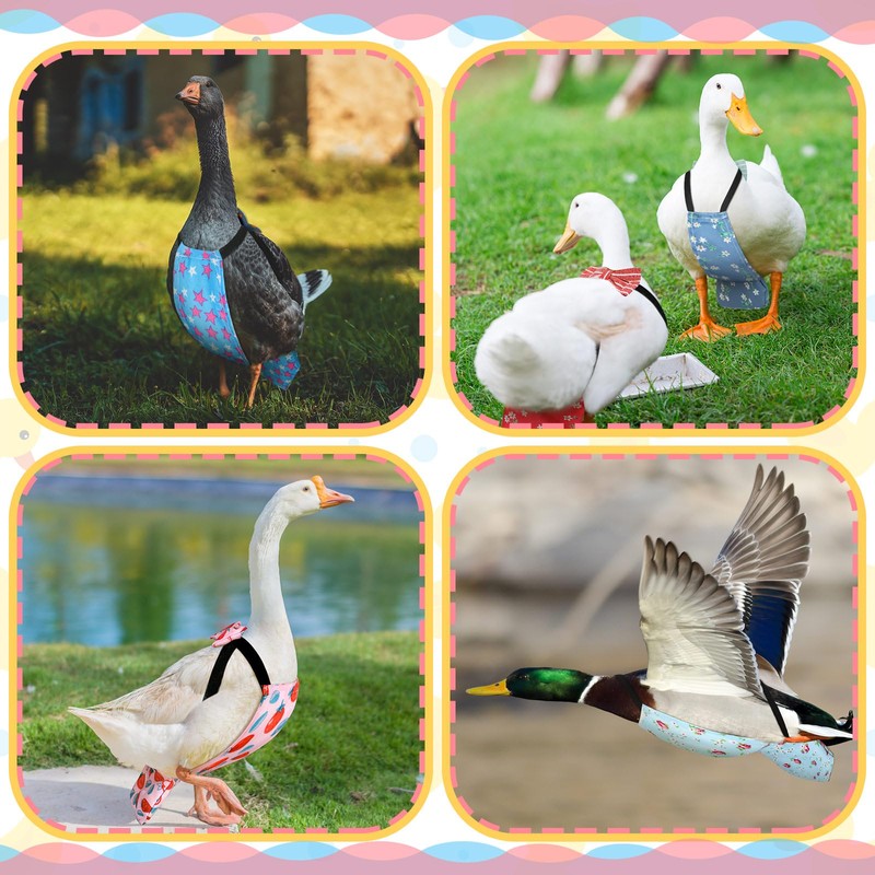 DoubleFill 6 Pcs Washable Chicken Diapers Reusable Pet Diaper with