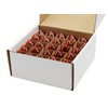 Creative Hobbies® Transparent Orange C7 Light Bulbs - 7 Watt,