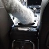 Unbranded Car Arm Rest Cover Car Center Console Cover with