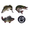 Petri's Catch Titanium Leaders 40 cm 8 kg