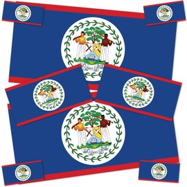 Desert Cactus Belize Country Flag Sticker Decal Variety Size Pack 8 Total Pieces Kids Logo Scrapbook Car Vinyl Window Bumper Laptop Belizean V