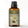 Carno Calm Cedarwood Essential Oil | 100% pure & natural