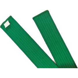 Pandiui23 Professional Taekwondo Karate Judo Belt Double Wrap Martial Arts Stripe Sports Belt (1, Green, 2.8M)