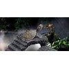(pont du monde) turtle turtle shelter lair floating island staircase