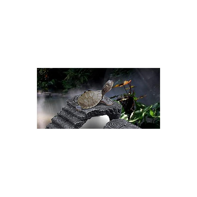 (pont du monde) turtle turtle shelter lair floating island staircase