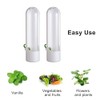 Restynic 2 Pack Herb Keeper Container for Refrigerator, Clear Storage