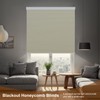 HIDODO Cordless Cellular Shades Blackout Honeycomb Window Shades and Blinds,