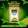 Neemveda Neem Leaf Powder - 100g (Azadirachta Indica) | Edible,