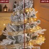 YUNGSUN Christmas Ribbon Lights, 32ft 100 LED String Lights, Battery-Powered