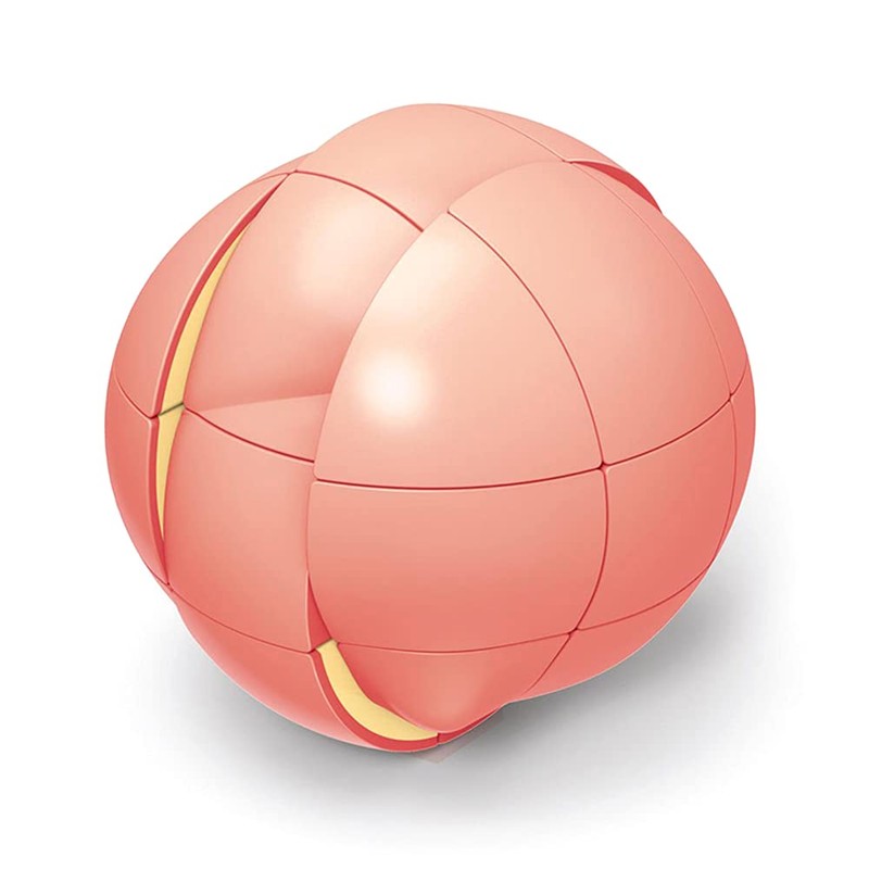 Yealvin 3D Fruit Cube 3 x 3 Magic Speed Cube