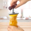 Can Opener Seniors Jar Opener Screw Lid Opener, Effortless Arthritis