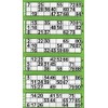 Jumbo Bingo Ticket Singles, 6 to View Pad, Green