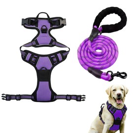 Dog Harness with Leash Combo, No Pull Reflective Vest for Small/Medium/Large Breeds, Nylon Traction Rope and Padded Control Handle - Perfect for Training Walking and Secure Outdoor Fun (Large)