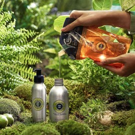 Loccitane Jabón Líquido De Shea Hands  Body Verbena, 16.9 Fl