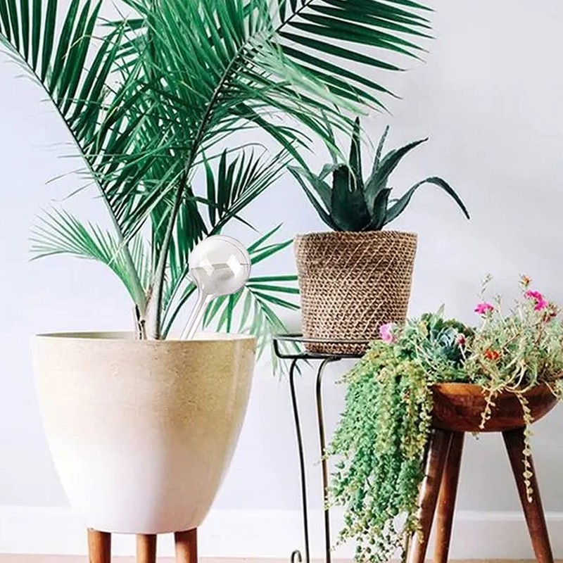 Gddochn 10 PCS Plastic Clear Self-Watering Bulbs,Garden Plant Watering Bulb,Plastic