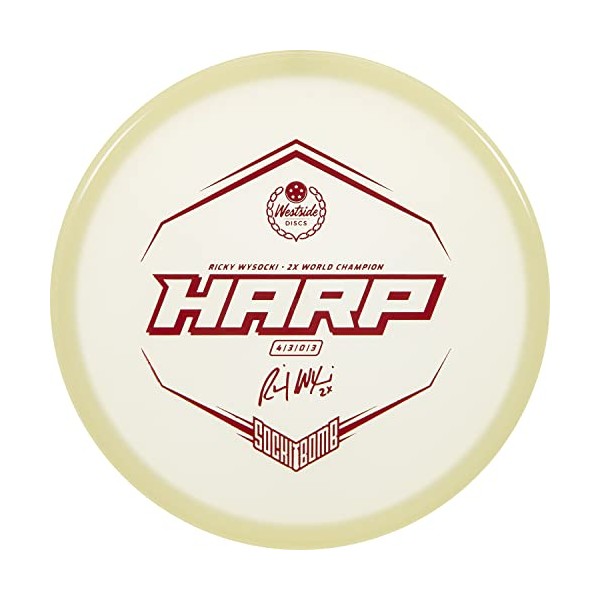 Dynamic Discs Ricky Wysocki Disc Series | 2X World Champion